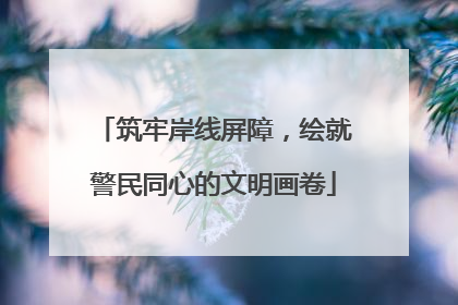 筑牢岸线屏障，绘就警民同心的文明画卷