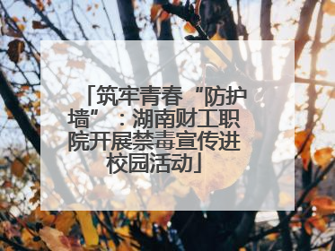 筑牢青春“防护墙”：湖南财工职院开展禁毒宣传进校园活动