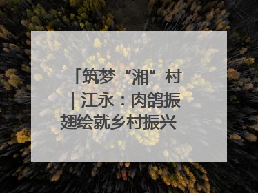 筑梦“湘”村｜江永：肉鸽振翅绘就乡村振兴“金羽画卷”