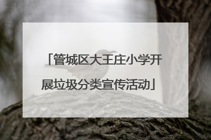 管城区大王庄小学开展垃圾分类宣传活动