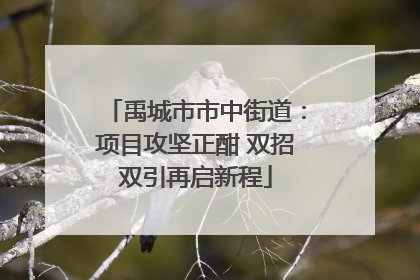 禹城市市中街道：项目攻坚正酣 双招双引再启新程