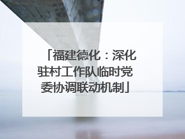 福建德化：深化驻村工作队临时党委协调联动机制