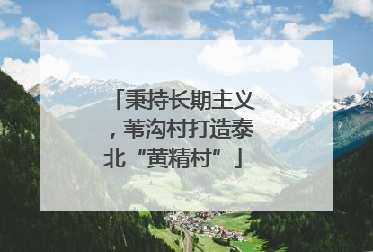 秉持长期主义，苇沟村打造泰北“黄精村”