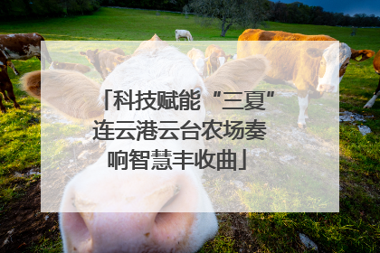 科技赋能“三夏” 连云港云台农场奏响智慧丰收曲