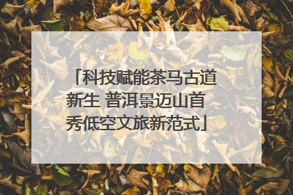 科技赋能茶马古道新生 普洱景迈山首秀低空文旅新范式