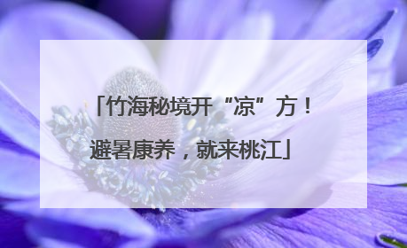 竹海秘境开“凉”方！避暑康养，就来桃江