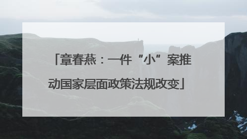 章春燕：一件“小”案推动国家层面政策法规改变