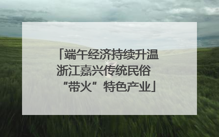 端午经济持续升温 浙江嘉兴传统民俗“带火”特色产业
