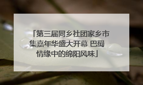 第三届同乡社团家乡市集嘉年华盛大开幕 巴蜀情缘中的绵阳风味