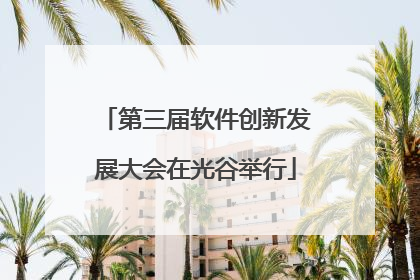 第三届软件创新发展大会在光谷举行