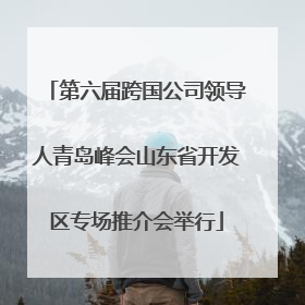 第六届跨国公司领导人青岛峰会山东省开发区专场推介会举行