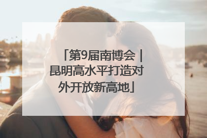 第9届南博会｜昆明高水平打造对外开放新高地