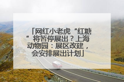 网红小老虎“红糖”将暂停展出？上海动物园：展区改建，会安排展出计划