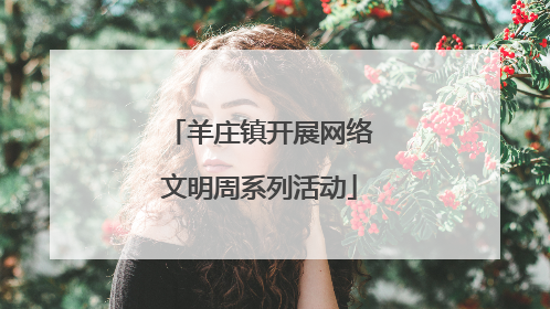 羊庄镇开展网络文明周系列活动