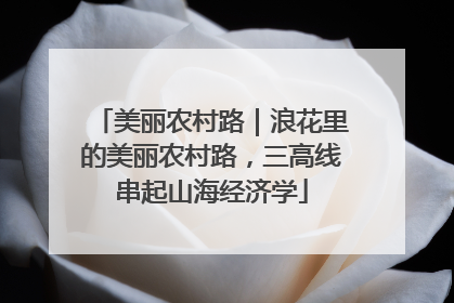 美丽农村路｜浪花里的美丽农村路，三高线串起山海经济学