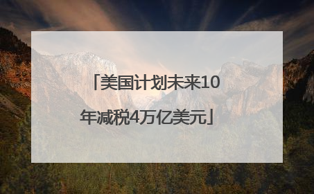 美国计划未来10年减税4万亿美元
