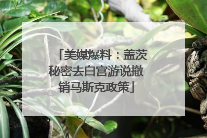 美媒爆料：盖茨秘密去白宫游说撤销马斯克政策
