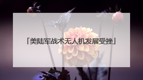 美陆军战术无人机发展受挫