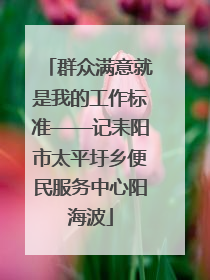 群众满意就是我的工作标准——记耒阳市太平圩乡便民服务中心阳海波