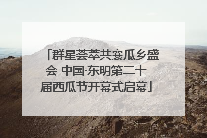 群星荟萃共襄瓜乡盛会 中国·东明第二十届西瓜节开幕式启幕