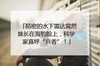 精密的水下雷达竟然就长在海豹脸上，科学家直呼“真香”！