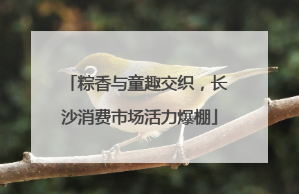 粽香与童趣交织，长沙消费市场活力爆棚