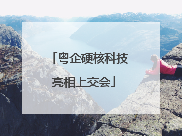 粤企硬核科技亮相上交会
