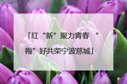 红“新”聚力青春 “梅”好共荣宁波慈城