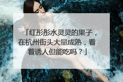 红彤彤水灵灵的果子，在杭州街头大量成熟，看着诱人但能吃吗？