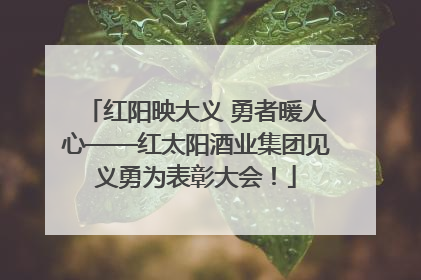 红阳映大义 勇者暖人心——红太阳酒业集团见义勇为表彰大会！