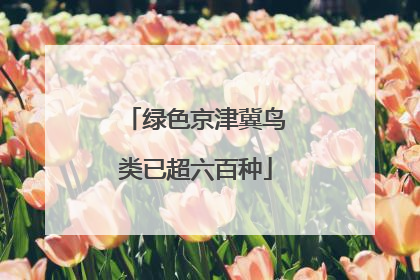 绿色京津冀鸟类已超六百种