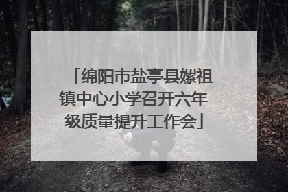 绵阳市盐亭县嫘祖镇中心小学召开六年级质量提升工作会