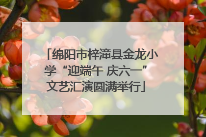 绵阳市梓潼县金龙小学“迎端午 庆六一”文艺汇演圆满举行