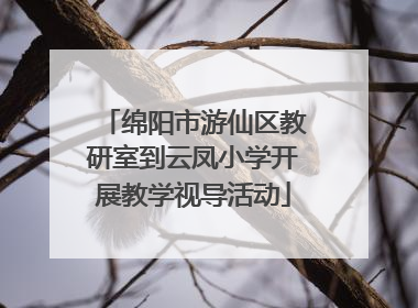 绵阳市游仙区教研室到云凤小学开展教学视导活动