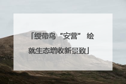 绶带鸟“安营” 绘就生态增收新景致
