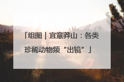 组图｜宜章莽山：各类珍稀动物频“出镜”