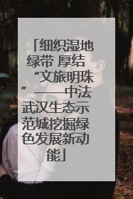 细织湿地绿带 厚结“文旅明珠”——中法武汉生态示范城挖掘绿色发展新动能