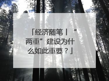 经济随笔丨“两重”建设为什么如此重要？