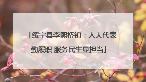 绥宁县李熙桥镇：人大代表勤履职 服务民生显担当