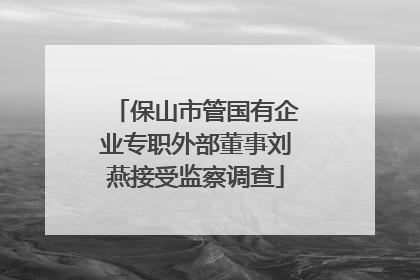 保山市管国有企业专职外部董事刘燕接受监察调查