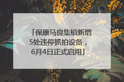 保康马良集镇新增5处违停抓拍设备，6月4日正式启用