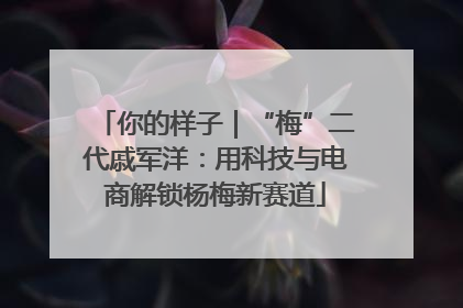 你的样子｜“梅”二代戚军洋：用科技与电商解锁杨梅新赛道