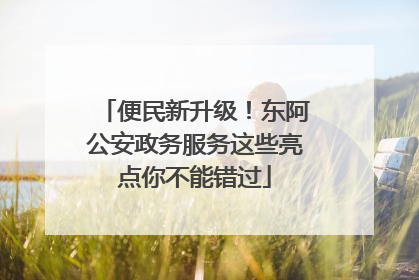 便民新升级！东阿公安政务服务这些亮点你不能错过
