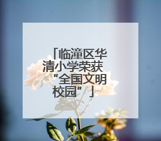 临潼区华清小学荣获“全国文明校园”