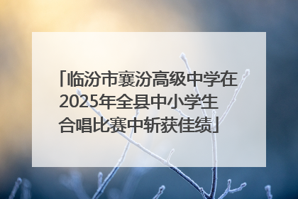 临汾市襄汾高级中学在2025年全县中小学生合唱比赛中斩获佳绩