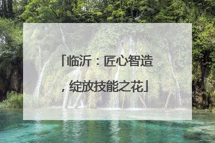 临沂：匠心智造，绽放技能之花