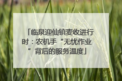 临泉迎仙镇麦收进行时：农机手“无忧作业”背后的服务温度