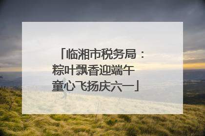 临湘市税务局：粽叶飘香迎端午 童心飞扬庆六一