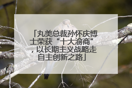 丸美总裁孙怀庆博士荣获“十大渝商”，以长期主义战略走自主创新之路