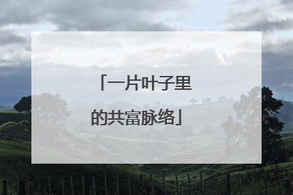 一片叶子里的共富脉络
